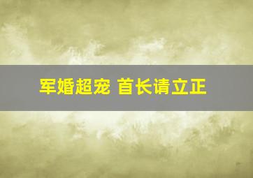 军婚超宠 首长请立正